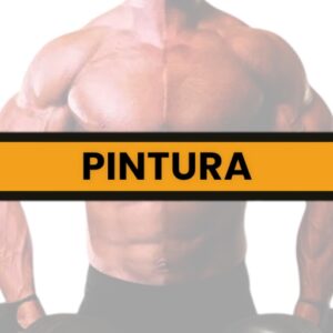 ACTIVADOR DE CATEGORIA