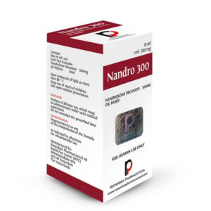 ROTTERDAM NANDRO 300
